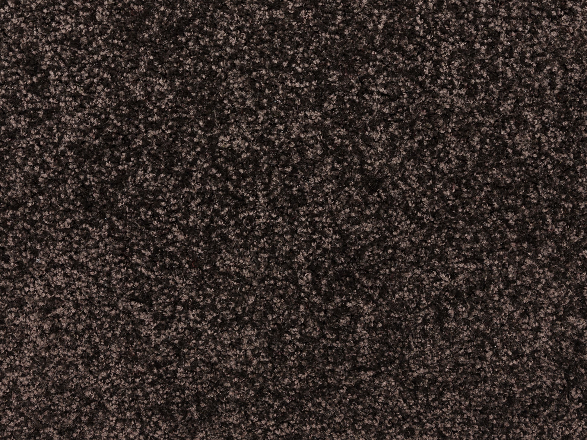 Bravelle – 112x170cm